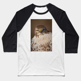 Red-Tailed Hawk Baseball T-Shirt